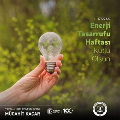  Nişastayı Enerji Kaynağı Olarak Kullanmanın Fırsatları: Sürdürülebilir Bir Gelecek İçin Yenilenebilir Bir Çözüm mü?